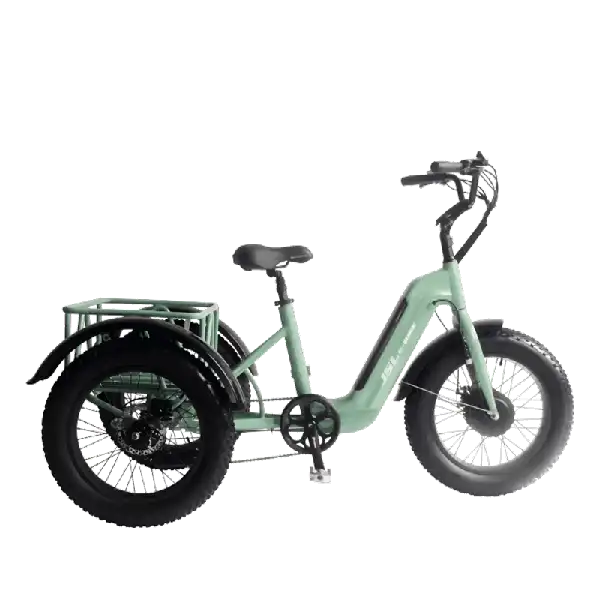 Electric Tricycle