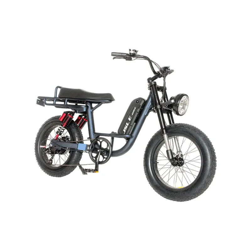 20 inch cruiser style electric bike