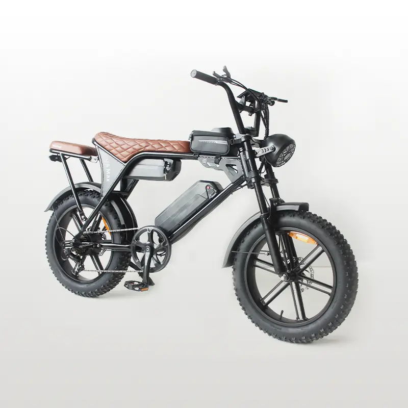 e-bike with integrated headlight and taillight