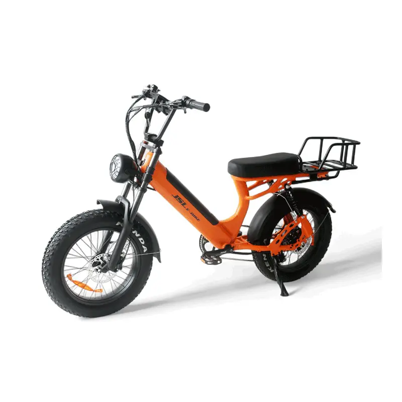 JSL039FS Utility Electric Bike