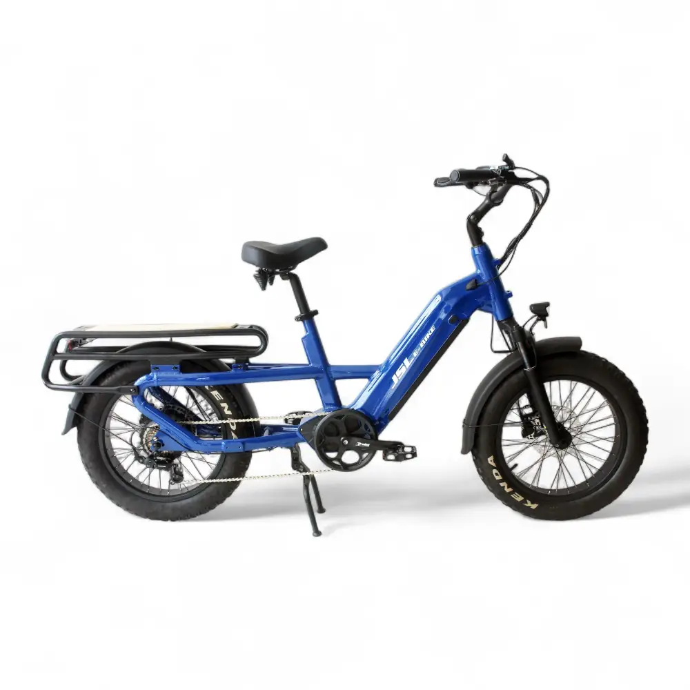 Rental e-bike
