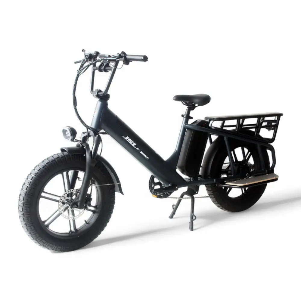 JSL039FV Cargo E-Bike Side View