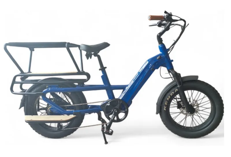 A person loading a box onto a long-tail cargo e-bike.