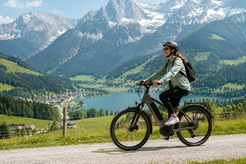Electric Bike Motor and Battery System electric bike motor and battery system