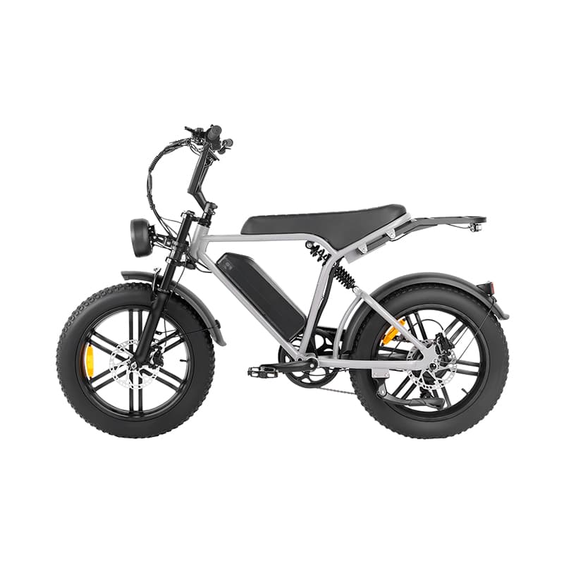 E6 Utility Fat Tire Electric Bike