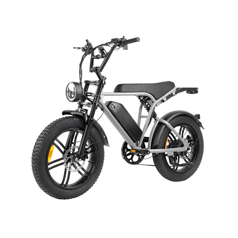 E6 Best Selling Electric Bike