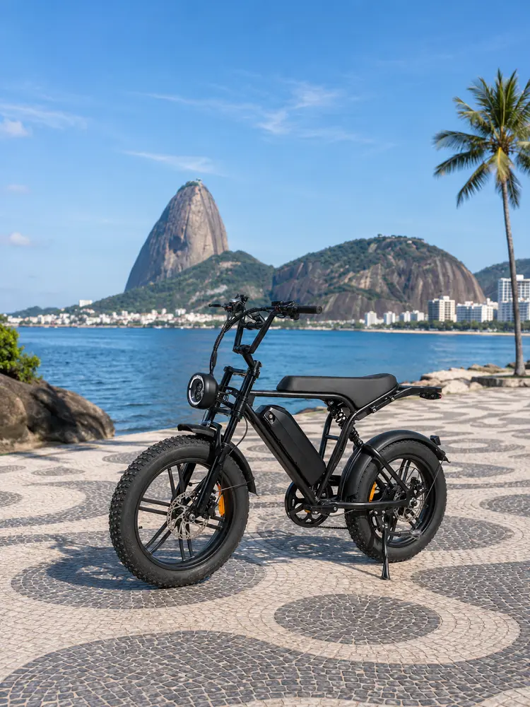 Brazil e-bike market