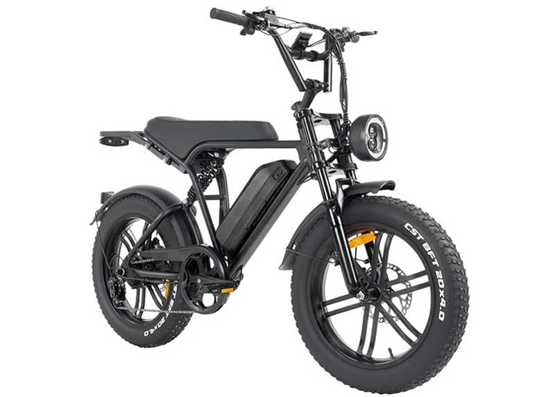 JSL E6 fat tire electric bike