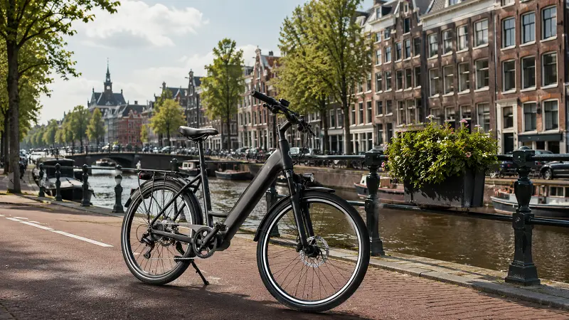 Mature premium European e-bike markets