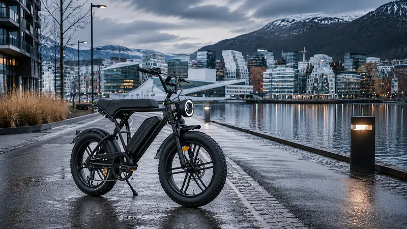 Nordic e-bike markets