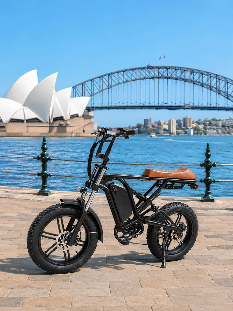 Australia e-bike market