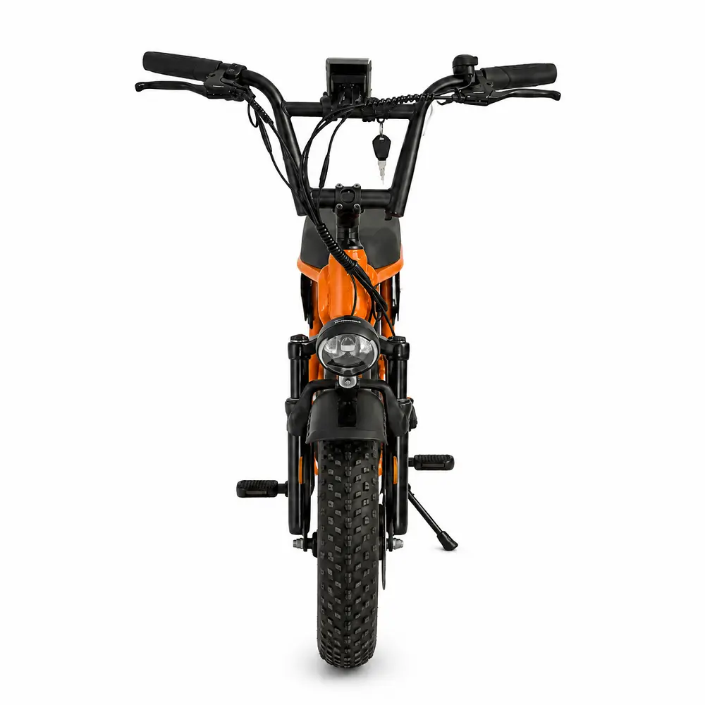 E3 16 Inch Fat Tire Electric Bike