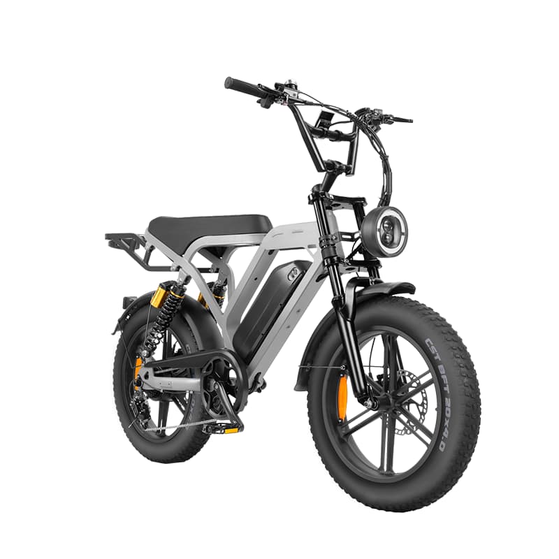 E7 Fat Tire Electric Bike Europe