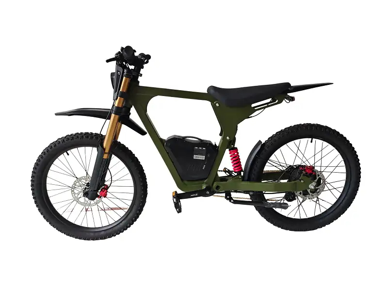 JSL037CC 24 Inch Electric Bike