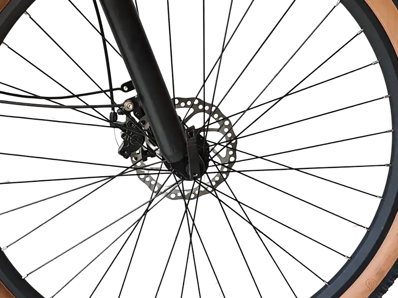 C2 front and rear disc brake