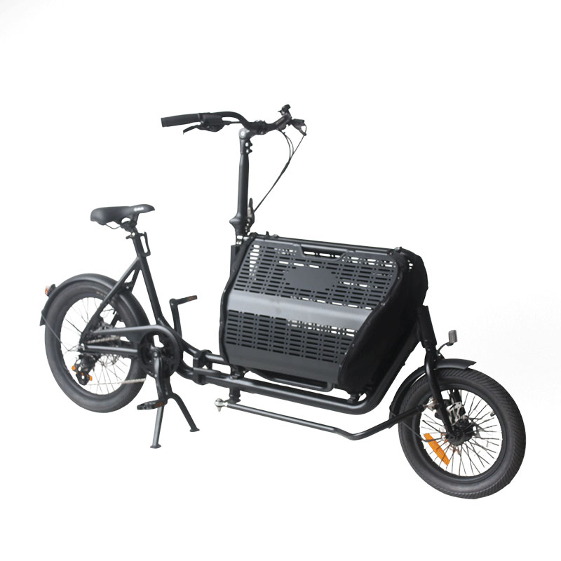 Mini Cargo Urban Bicycle