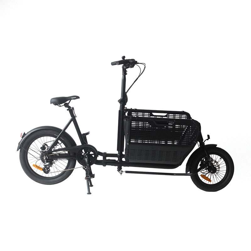Mini Cargo Bicycle Side View