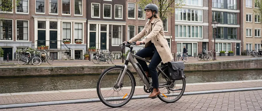 Trekking and performance electric bike